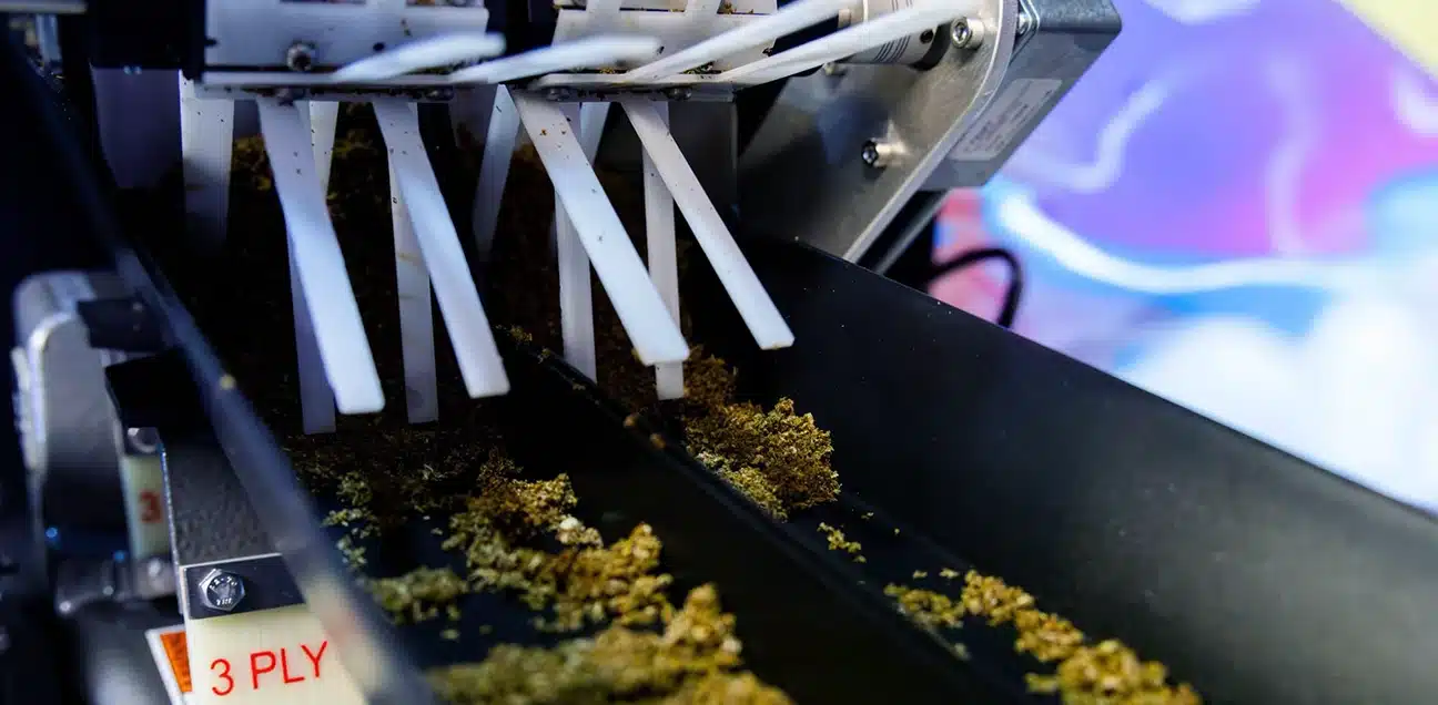 The Best Commercial Cannabis Grinders for Pre-Rolls (2026 Buyer’s Guide) Cannabis grind flower before being rolled