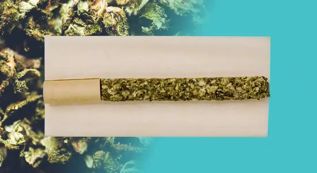 The Best Commercial Cannabis Grinders for Pre-Rolls (2026 Buyer’s Guide) grind background and preroll open about to be rolled
