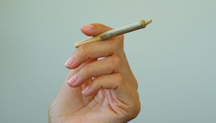 Hand holding unlit cannabis pre-roll