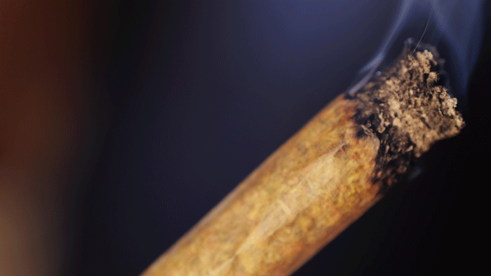 A cannabis pre-roll burning