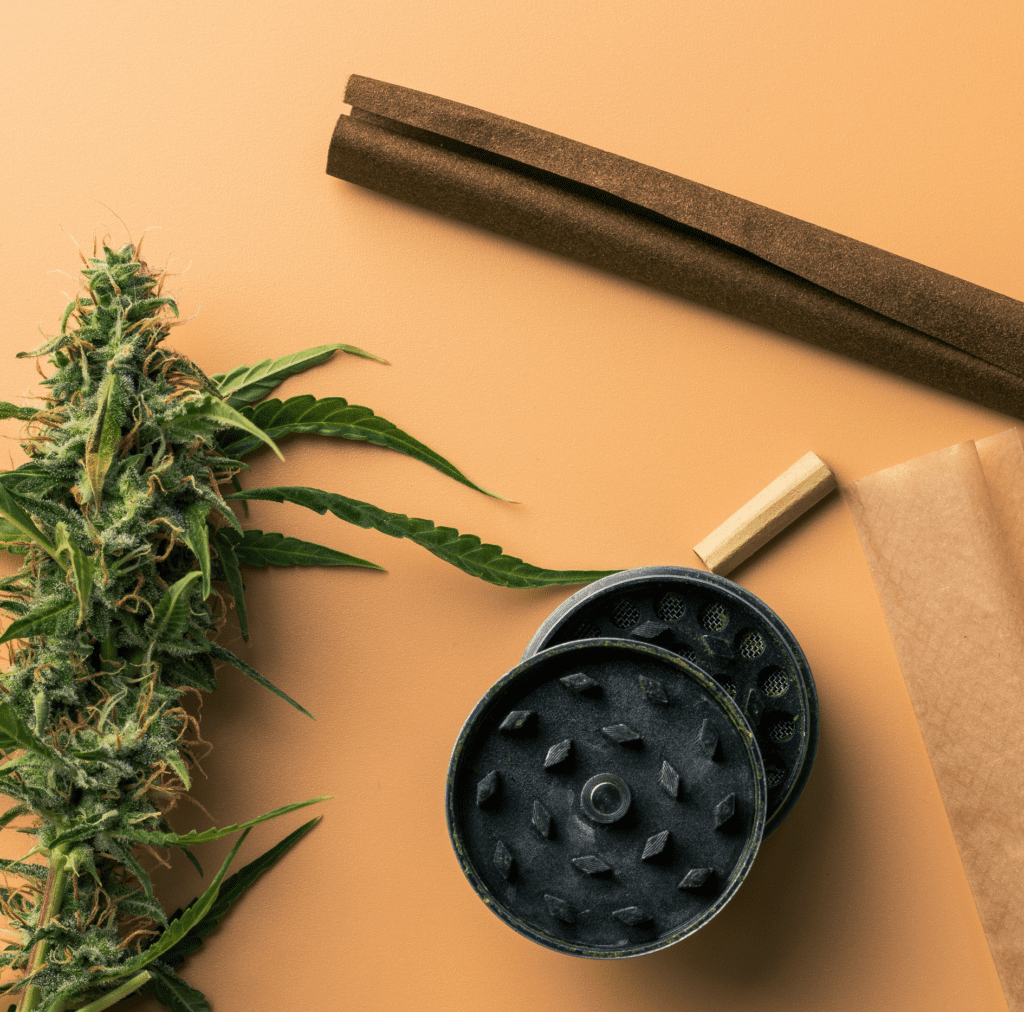 Pre-roll papers with cannabis plant and grinder on a table