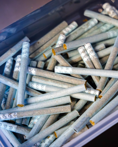 A container full of RollPros prerolls