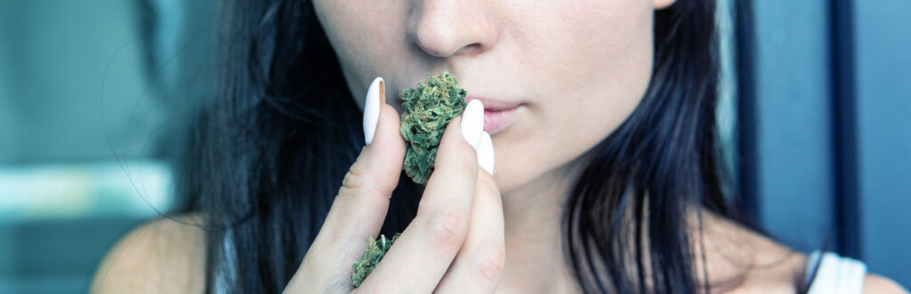How to Choose Cannabis Strains for Pre-Rolls 2025 Pre-Roll Predictions