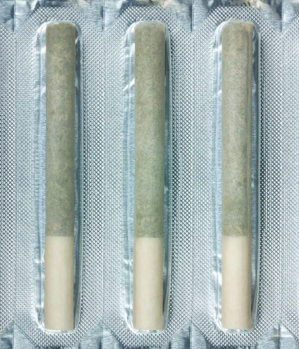 Trends Shaping the Future of Cannabis Pre Roll Packaging
