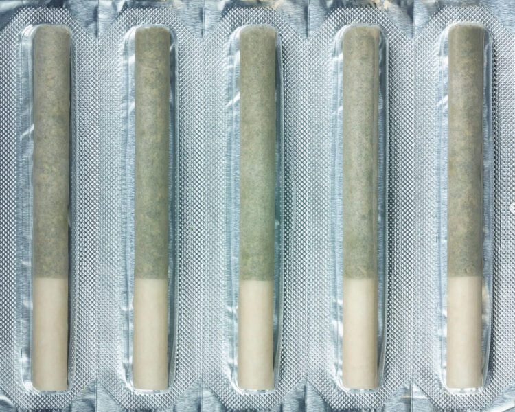 ROLL-Packaging-Pre-Rolls Trends Shaping the Future of Cannabis Pre Roll Packaging