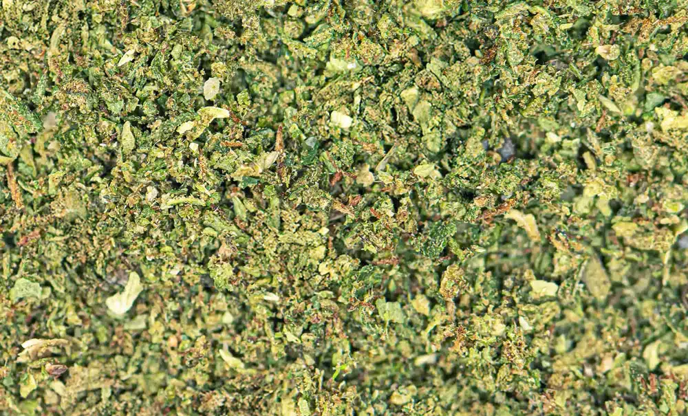How to Use a Weed Grinder – A Step-by-Step Guide for the Perfect Grind weed cannabis grind flower operator