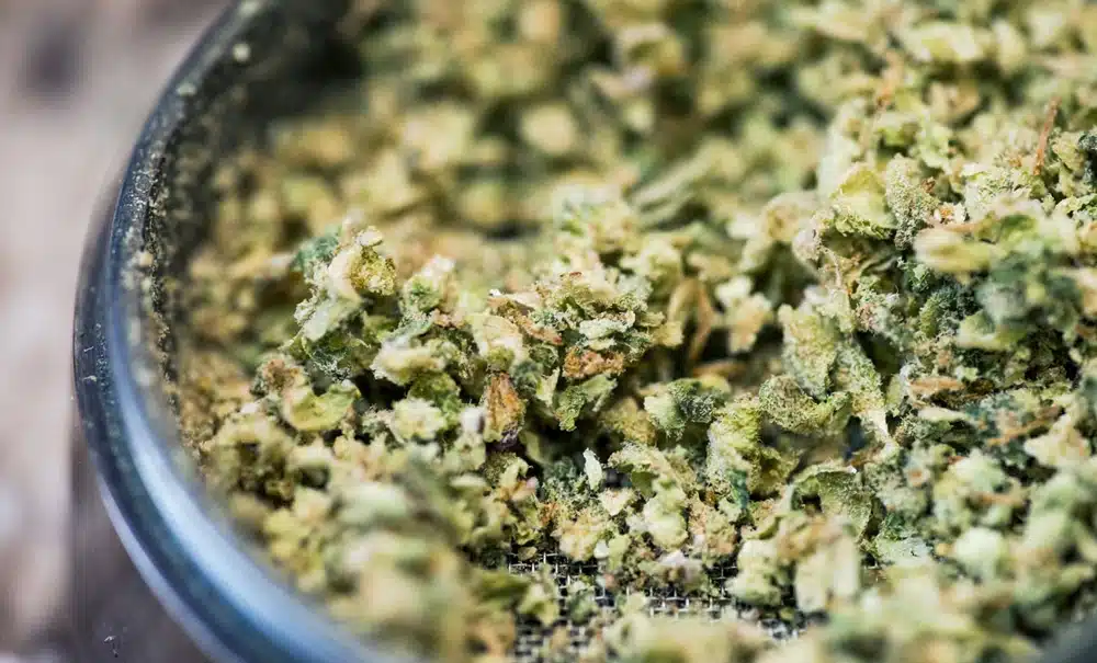 How to Use a Weed Grinder – A Step-by-Step Guide for the Perfect Grind cannabis flower grind for rolling weed and joints