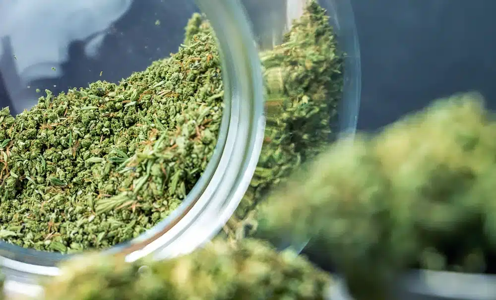 How to Use a Weed Grinder – A Step-by-Step Guide for the Perfect Grind cannabis weed grinding rolling and storing