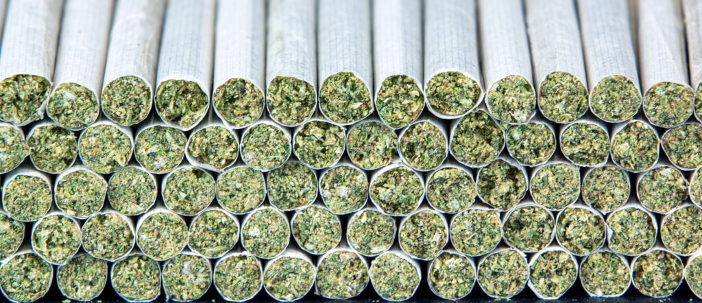 How Pre-Roll Quality Drives Customer Loyalty in Cannabis How to Choose the Best Automatic Pre Roll Machine: Key Features and What to Look For