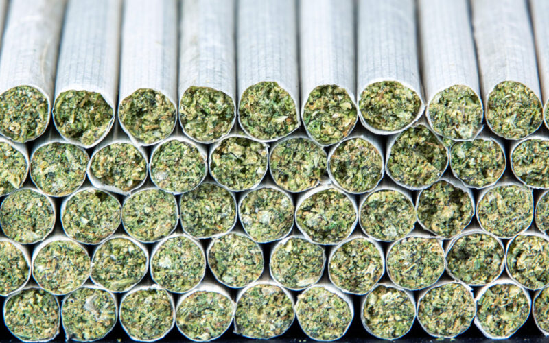 How to Choose the Best Automatic Pre Roll Machine: Key Features and What to Look For