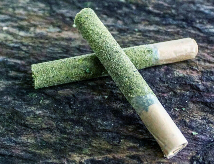 ROLL-Infused-pre-rolls-cover What Are Infused Pre Rolls and Why Are They Gaining Popularity?