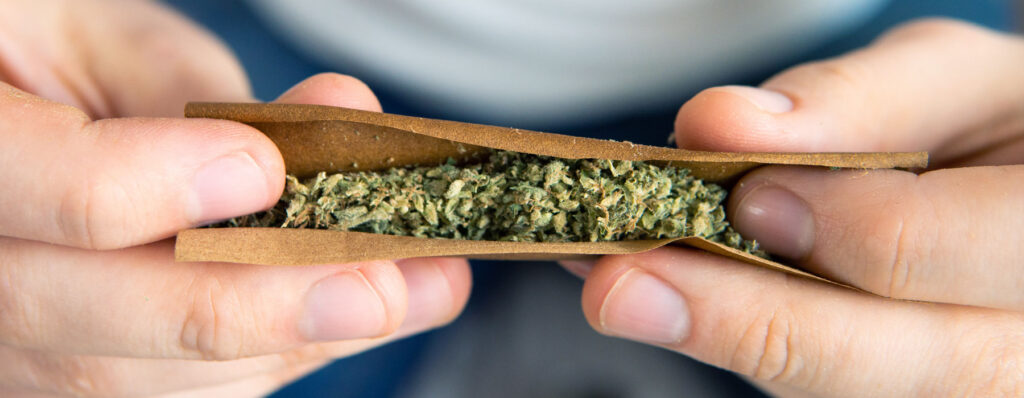 What Is a Cannagar and How Is It Made? cannabis flower being rolled into a blunt wrap paper