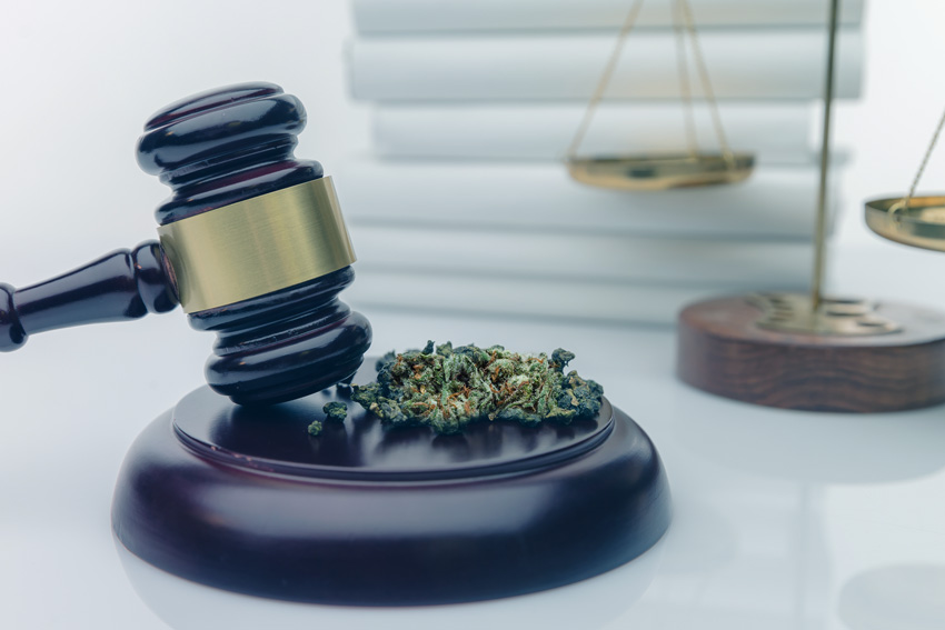 ROLL Canna Law Judge 1 RollPros - Pre Rolling Machine