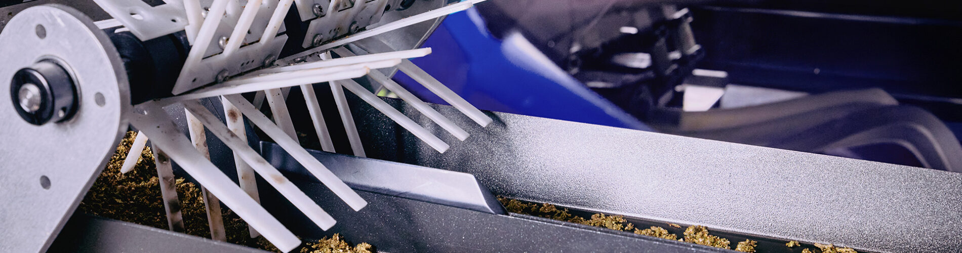 ROLL-Blackbird-Demo-BG