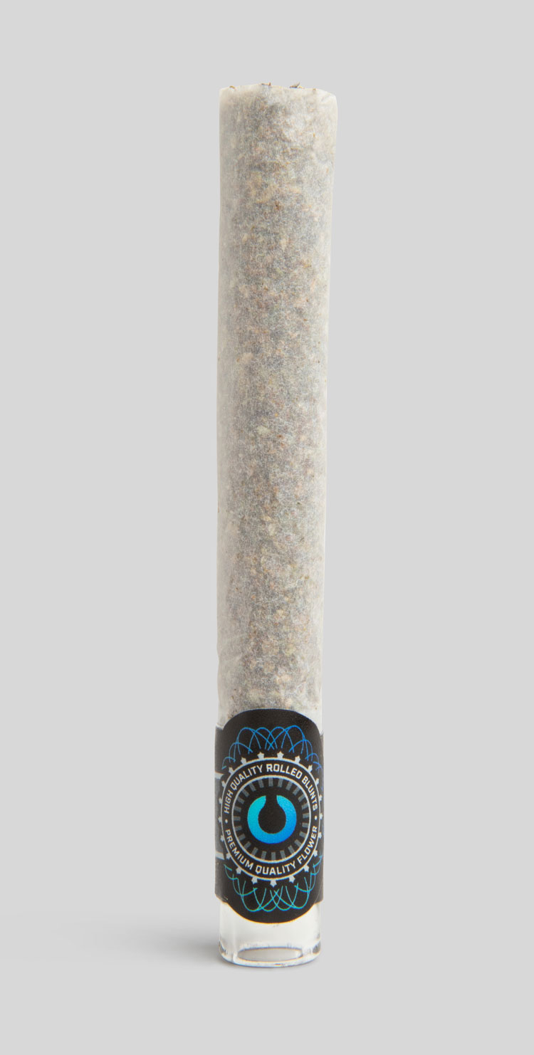 ROLL Blackbird XXL Blunt Clean 1 RollPros - Pre Rolling Machine