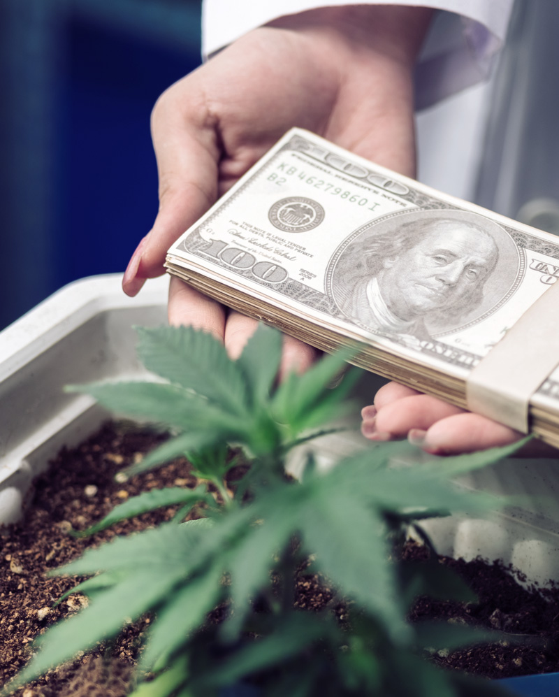 ROLL Money Cannabis 1 RollPros - Pre Rolling Machine