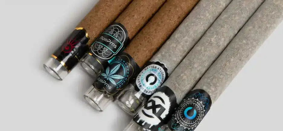 What Is a Blunt Roller and Why Do You Need One? Cannabis blunts rolled on Blackbird XXL