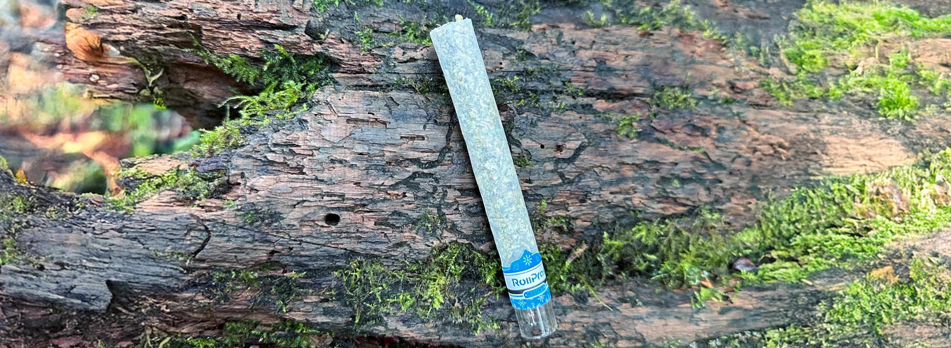 What Is a Blunt Roller and Why Do You Need One? ROLL Blunt Tree Trunk RollPros - Pre Rolling Machine
