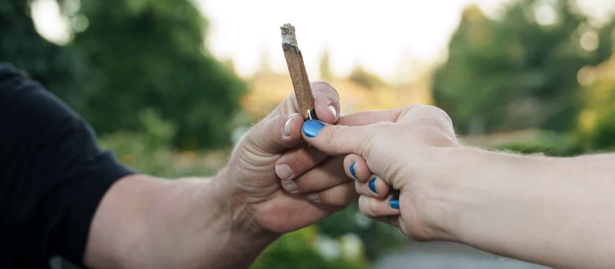 What Is a Blunt Roller and Why Do You Need One? ROLL XXL Blunt Passing RollPros - Pre Rolling Machine