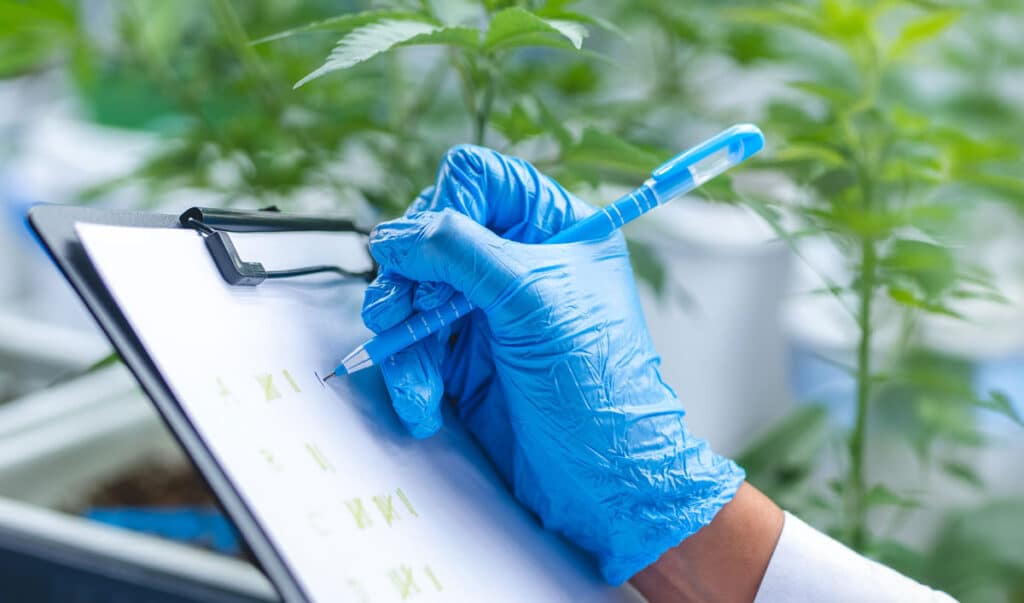 Infused Pre Rolls and the Equipment Required to Produce Them ROLL Plant Cannabis Farm RollPros - Pre Rolling Machine