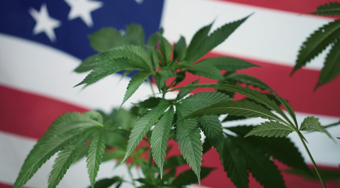 Where Are Pre-Roll Machines Made? ROLL America Cannabis Cover RollPros - Pre Rolling Machine