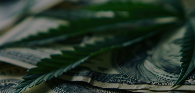 What Is THC? Meaning, Types, Effects, and Differences Explained cannabis leaf and bills