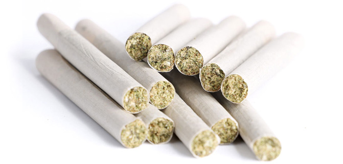 Enhancing Pre-roll Efficiency Tips for Optimizing Your Cannabis Workflow cannabis pre-rolls