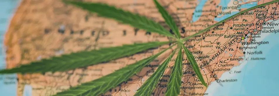 The History of Cannabis Culture in the USA: From Counterculture to Modern Lifestyle ROLL Canna Packaging 5a 1 RollPros - Pre Rolling Machine