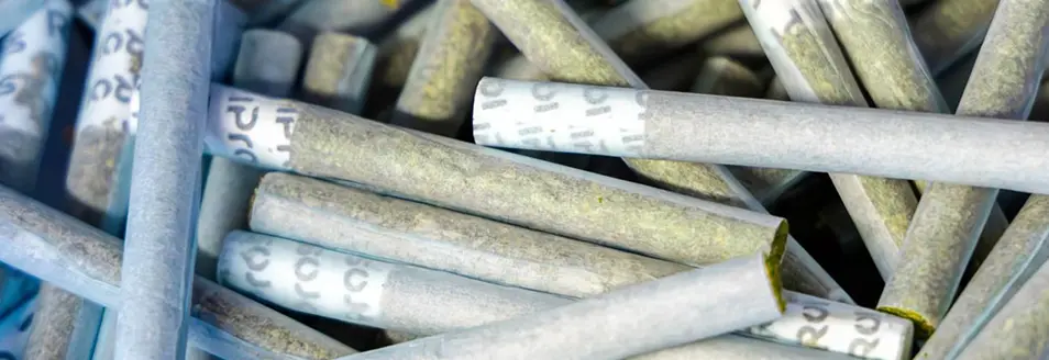 How To Build a Signature Pre-Roll Line ROLL Canna Packaging 5b RollPros - Pre Rolling Machine