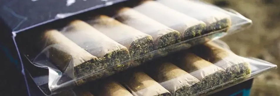 Enhancing Pre-roll Efficiency Tips for Optimizing Your Cannabis Workflow ROLL Canna Premium 2 RollPros - Pre Rolling Machine