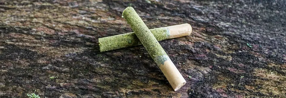 How To Build a Signature Pre-Roll Line ROLL Canna Premium 3 RollPros - Pre Rolling Machine