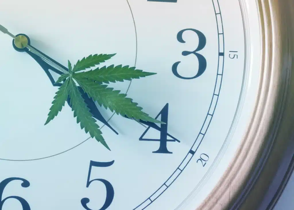 The History of Cannabis Culture in the USA: From Counterculture to Modern Lifestyle 420 Weed Clock
