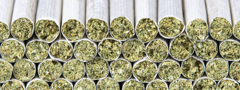 ROLL-Infused-Cannabis-Pre-rolls-1 cannabis joints