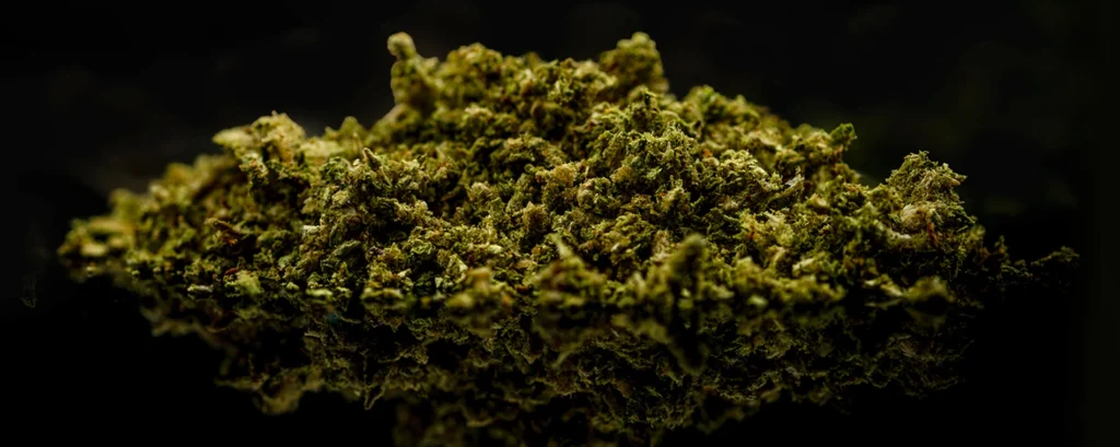How to Choose Cannabis Strains for Pre-Rolls marijuana flower
