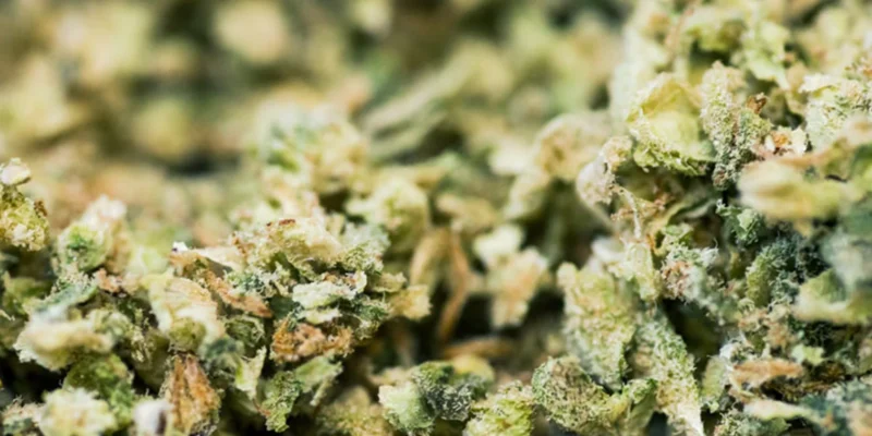 ROLL-Infused-Guide-Sticky-Flower-1 sticky cannabis