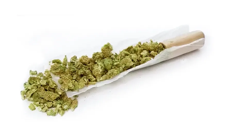 ROLL-Infused-Pre-roll infused pre-roll