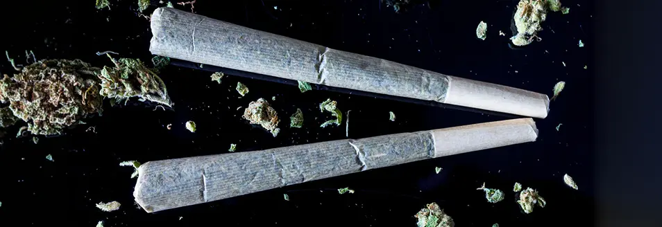 Why Electric Weed Rolling Machines Are Changing the Game ROLL Pre Rolls Machine 5A RollPros - Pre Rolling Machine