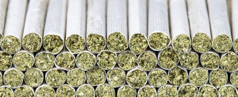 ROLL-Pre-Rolls-Machine-5b Pre-rolls