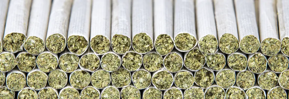 How to Comply with Cannabis Packaging Requirements in the Pre-Roll Production Process ROLL Pre Rolls Machine 5b 1 RollPros - Pre Rolling Machine