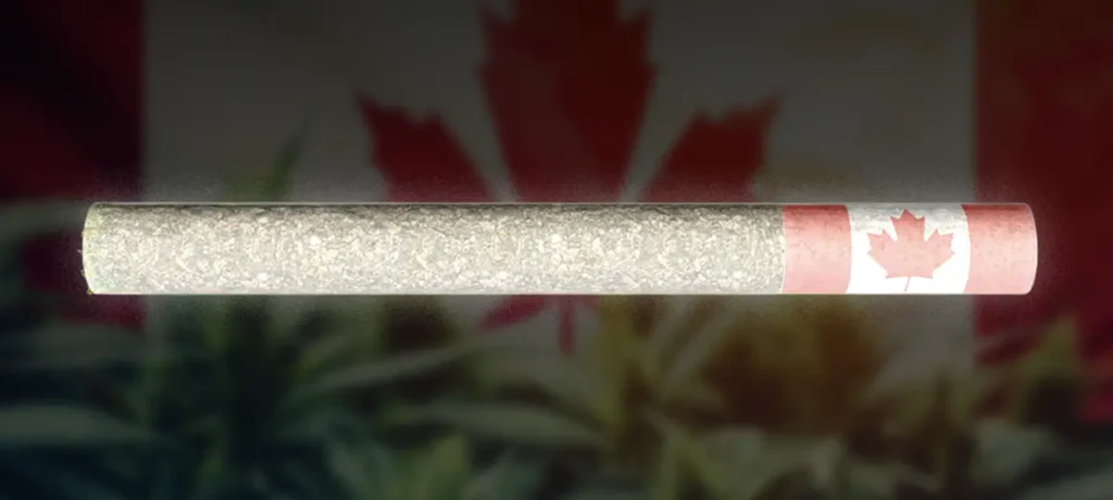 The History of Cannabis Culture in the USA: From Counterculture to Modern Lifestyle ROLL cannabis canada RollPros - Pre Rolling Machine