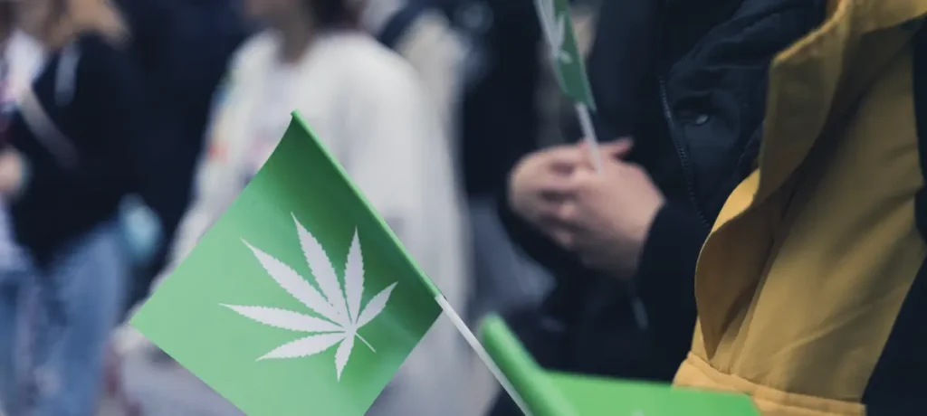 The History of Cannabis Culture in the USA: From Counterculture to Modern Lifestyle ROLL cannabis new leaf 2 RollPros - Pre Rolling Machine