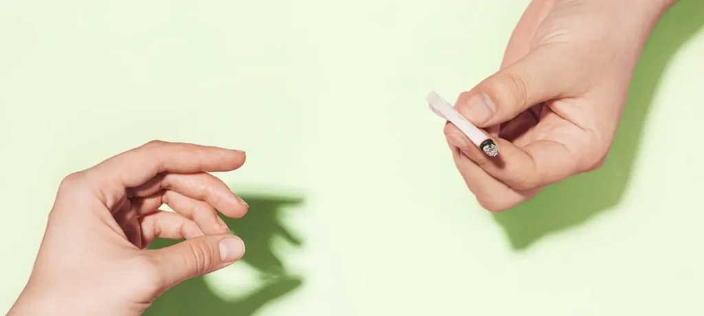 The History of Cannabis Culture in the USA: From Counterculture to Modern Lifestyle ROLL cannabis sharing 1 RollPros - Pre Rolling Machine