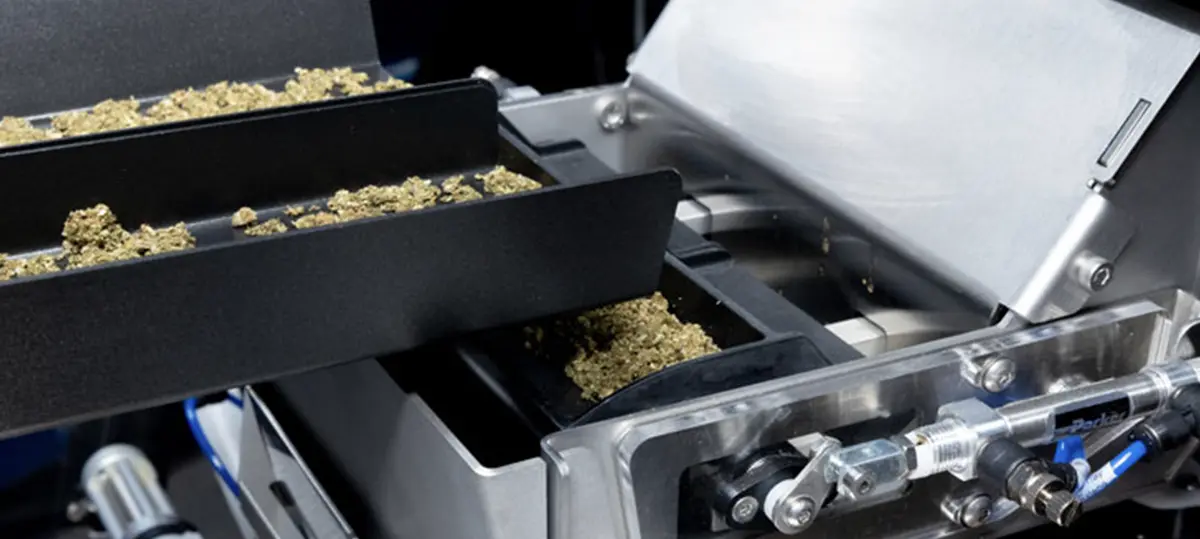 How to Choose Cannabis Strains for Pre-Rolls Cannabis machine pre-roll scale
