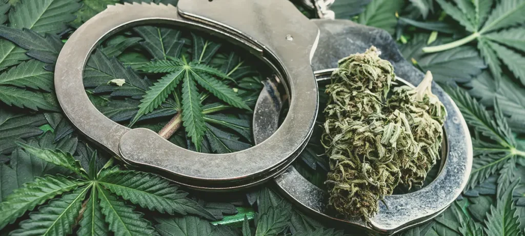 The History of Cannabis Culture in the USA: From Counterculture to Modern Lifestyle ROLL premium war on drugs 1 RollPros - Pre Rolling Machine