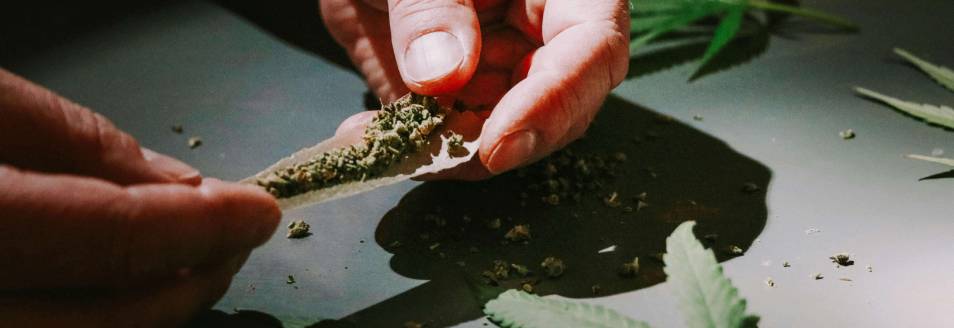 What Is THC? Meaning, Types, Effects, and Differences Explained IMG 5935 3 RollPros - Pre Rolling Machine