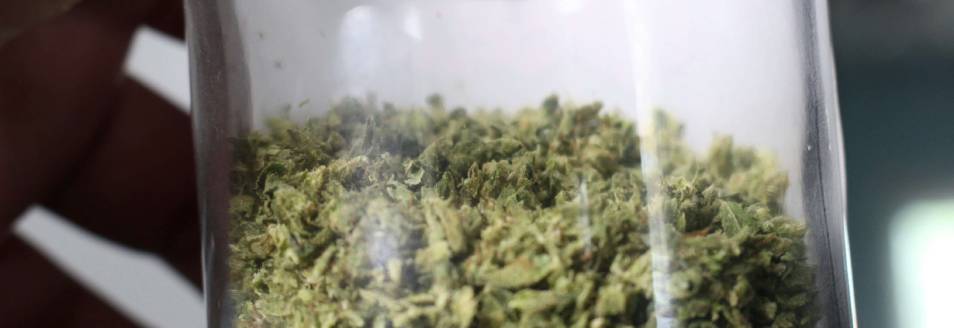 What Is THC? Meaning, Types, Effects, and Differences Explained IMG 5938 RollPros - Pre Rolling Machine