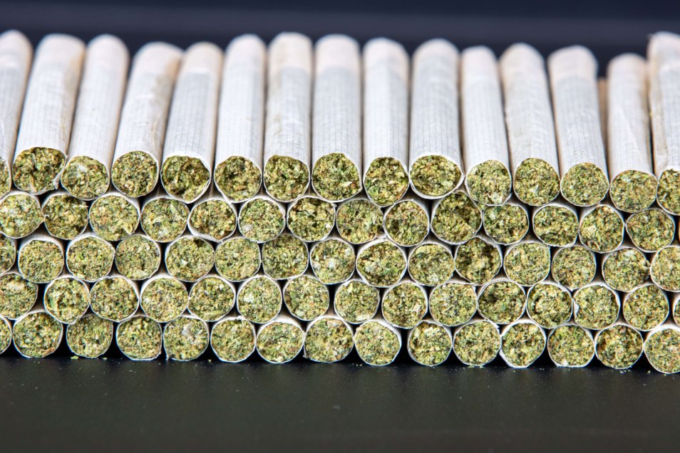 Economic Impact of Automated Pre Roll Systems IMG 5943 1 RollPros - Pre Rolling Machine