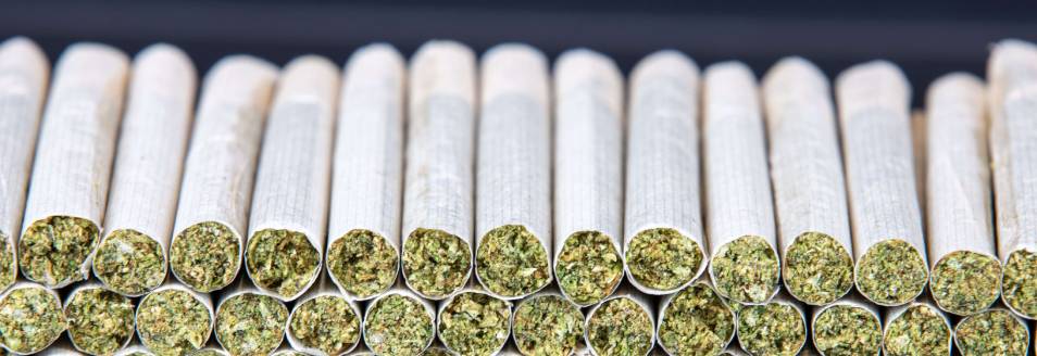 Pre-Roll Machines vs. Hand-Rolled Joints: Which is Better for Your Business? IMG 5943 RollPros - Pre Rolling Machine