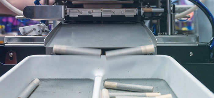 The Role of Automation in Modern Production An automated machine dispenses freshly rolled joints down a metal slide into a divided white tray, showcasing modern cannabis production.