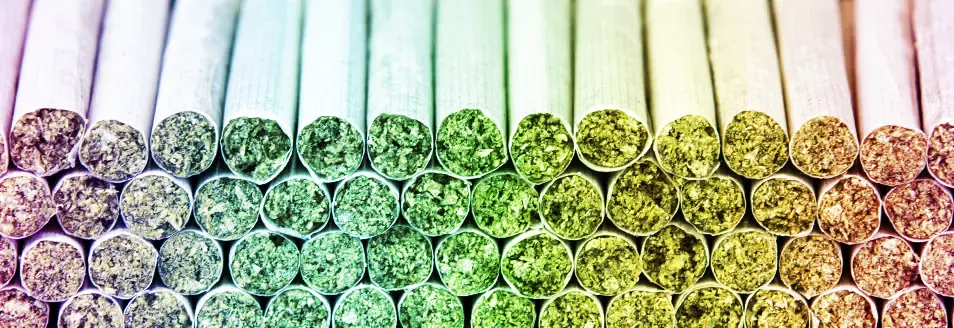 Color Theory for Cannabis Packaging: Designing With Intention, Not Just Aesthetics ROLL Pre Rolls colorful 1 RollPros - Pre Rolling Machine